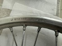 IMG_3387.jpeg