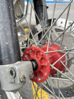 IMG_0081.jpeg
