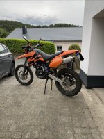 IMG_4529.jpeg IMG_4529.jpeg