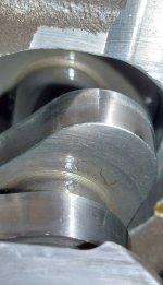 20230814_130656.jpg 20230814_130656.jpg